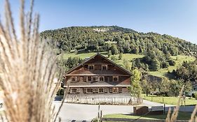 Naze'S Hus Mellau